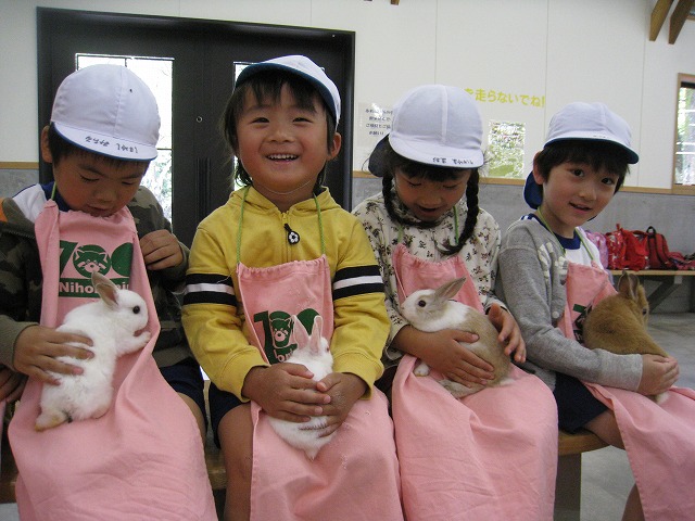 IMG_1075 IMG_1075