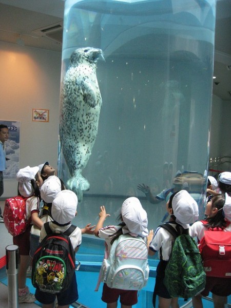 IMG_1143 IMG_1143