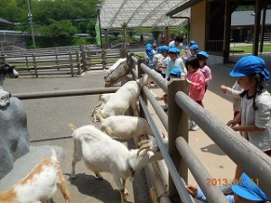 動物教室