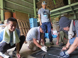 IMG_0141 IMG_0141