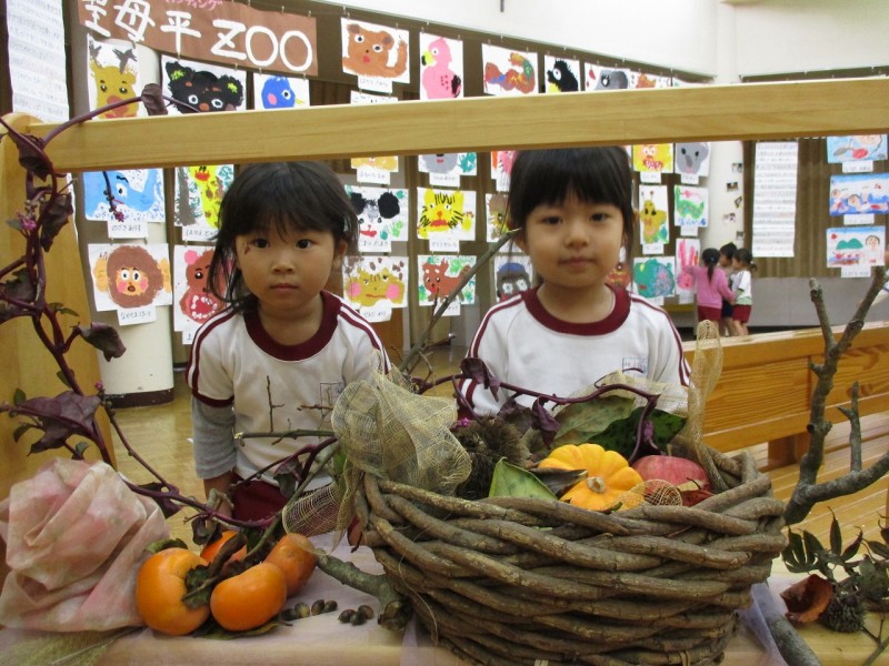IMG_0953 IMG_0953