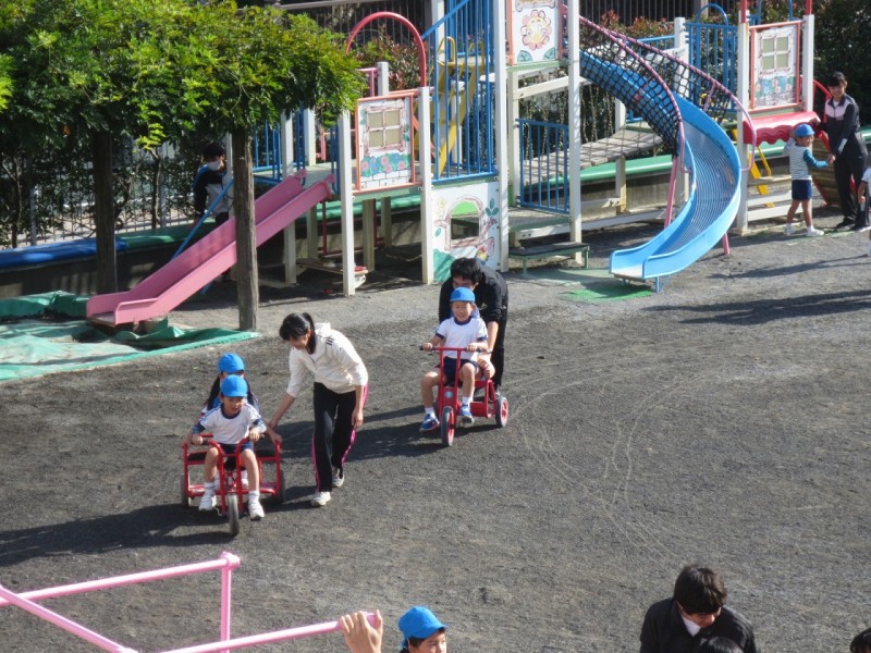 IMG_1219 IMG_1219