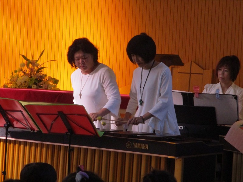 IMG_1330 IMG_1330