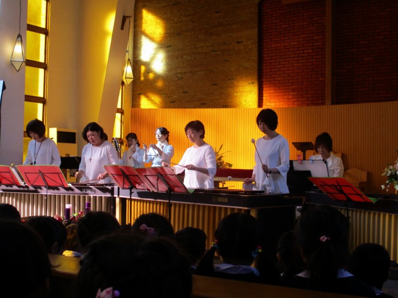 IMG_1335 IMG_1335