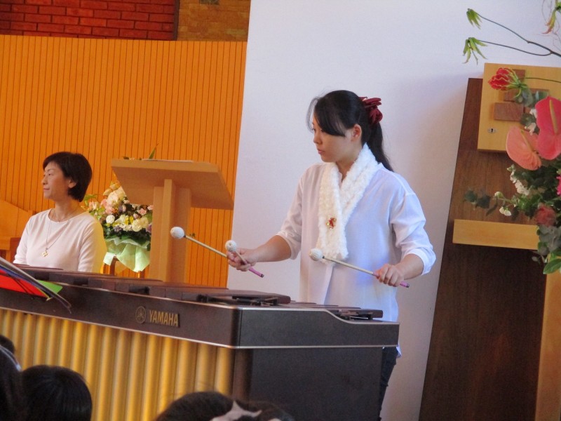 IMG_1343 IMG_1343