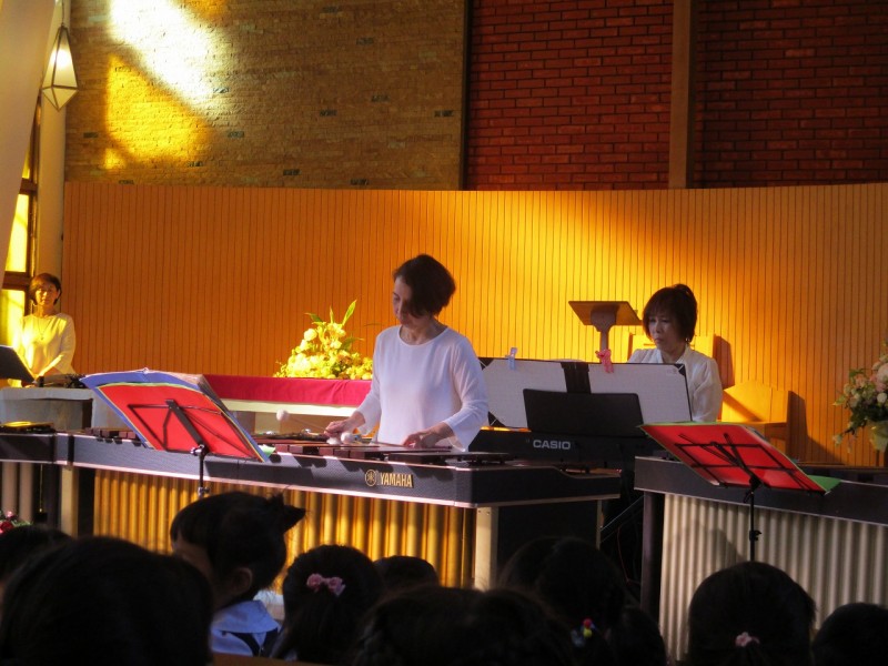 IMG_1378 IMG_1378