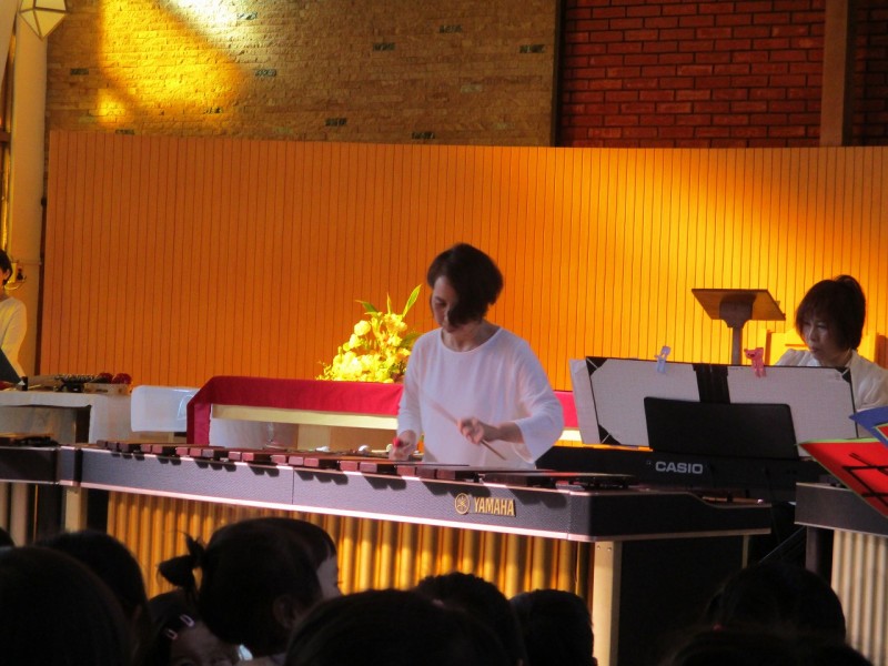 IMG_1382 IMG_1382